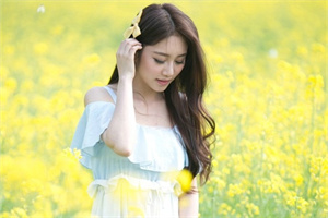 上海农业科技园区的建设考察